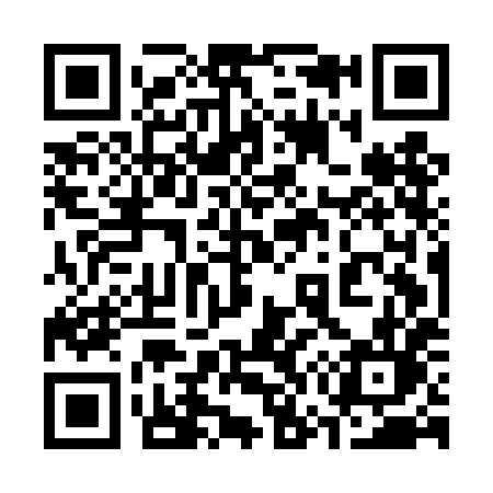 QR code for 375DHL