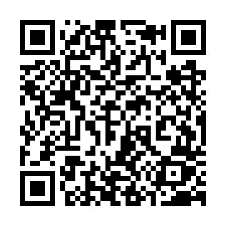 QR code for 375GTZ
