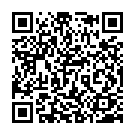 QR code for 375MSP