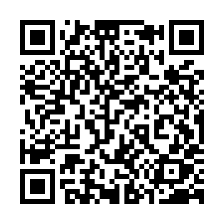 QR code for 375MXX