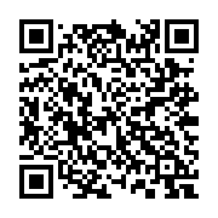 QR code for 375PAF