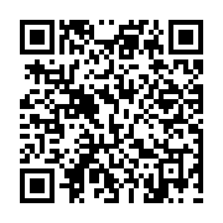 QR code for 376CIO