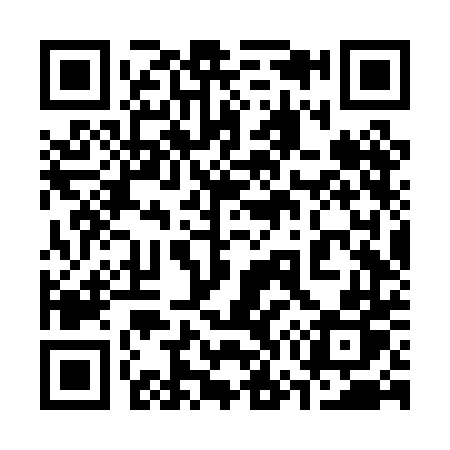 QR code for 376PDP