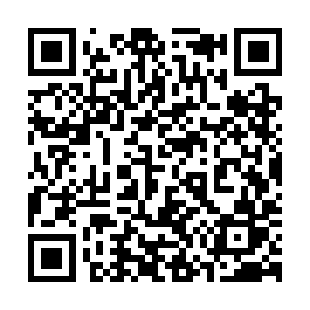 QR code for 377SIR