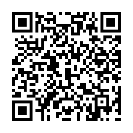 QR code for 379MDG