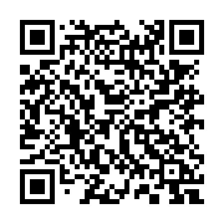 QR code for 379NEC