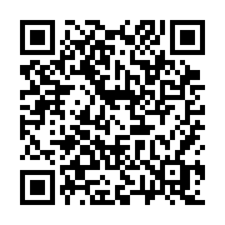 QR code for 379SFF