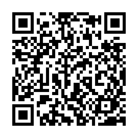 QR code for 379ZIO