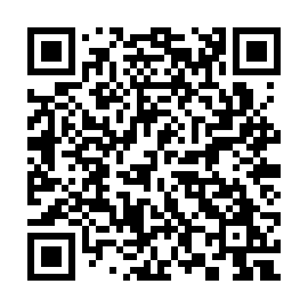 QR code for 380SRO