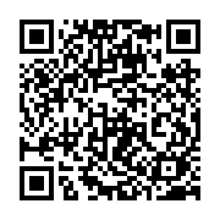 QR code for 381BUM