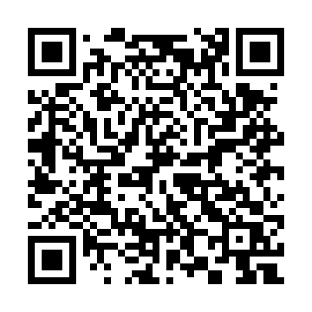 QR code for 381DVR