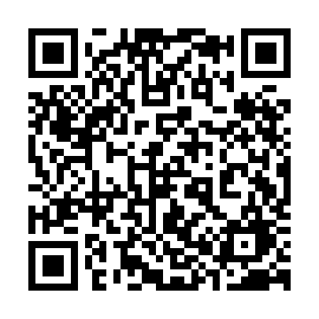 QR code for 381HKG