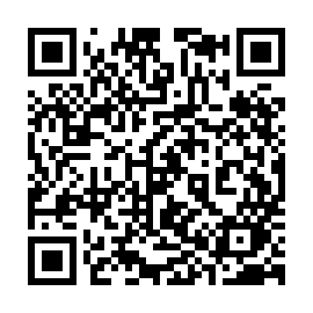 QR code for 381HMO