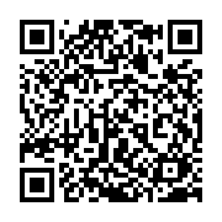QR code for 381MSO