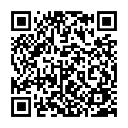 QR code for 381OWD
