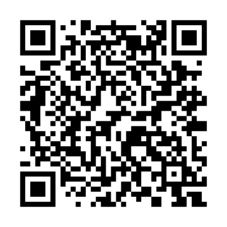 QR code for 381PII