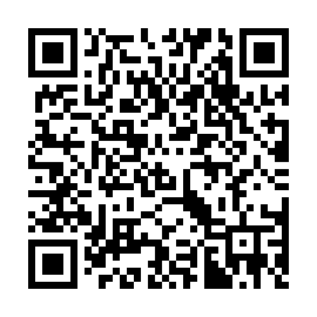 QR code for 381QAV