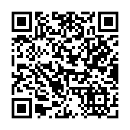 QR code for 381YGO