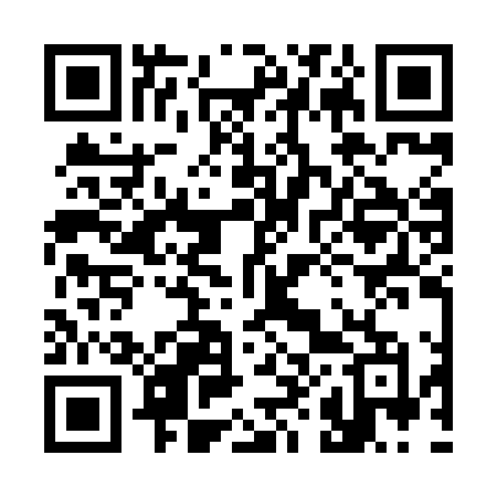 QR code for 382HLM