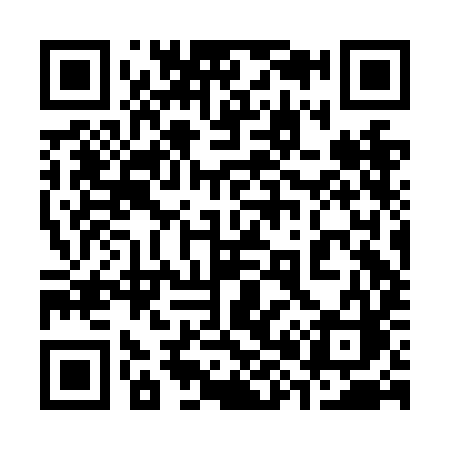 QR code for 382NIC