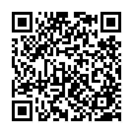 QR code for 383DMG