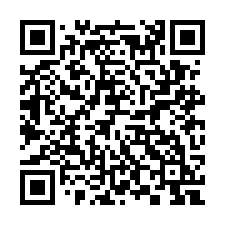 QR code for 383EKK