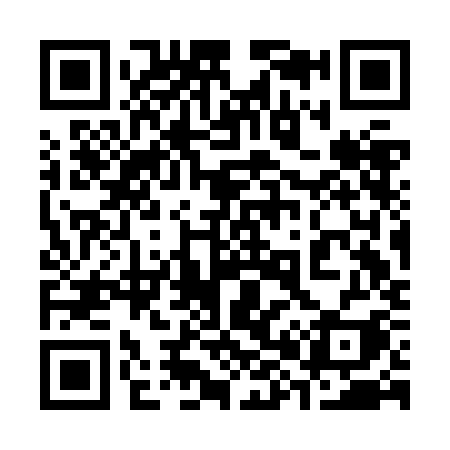 QR code for 383JKI