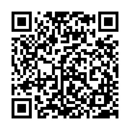 QR code for 383MNL