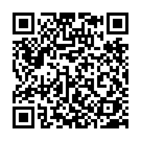 QR code for 383NKH