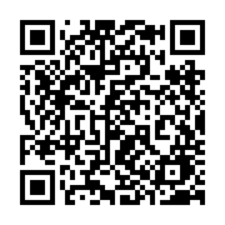 QR code for 383ROG