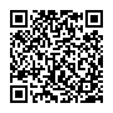 QR code for 383TTS
