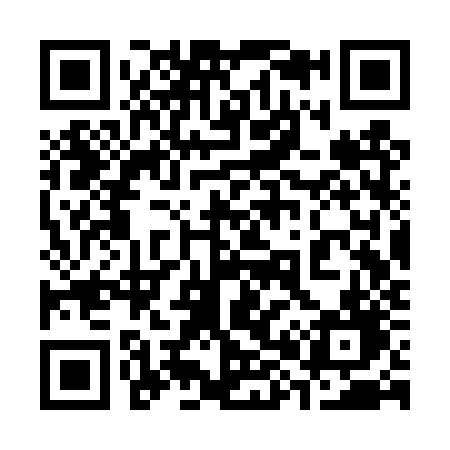 QR code for 383TZD
