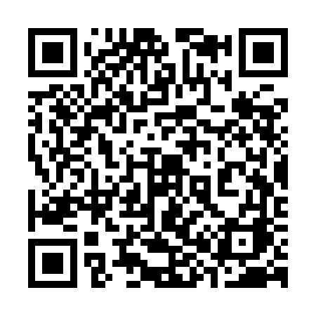 QR code for 383YFA