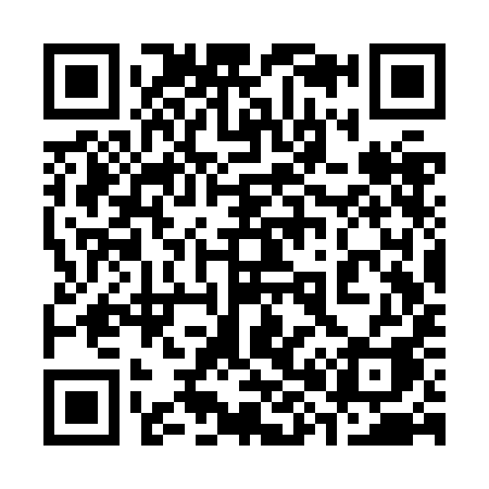 QR code for 383ZIA