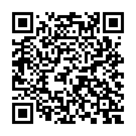 QR code for 384APG