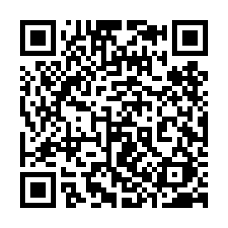 QR code for 384DBK