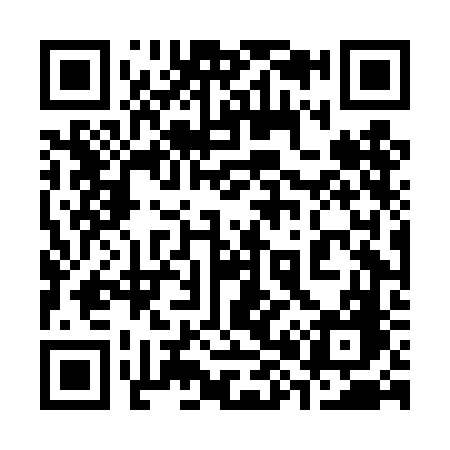 QR code for 384DFG