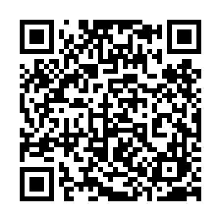 QR code for 384DFL