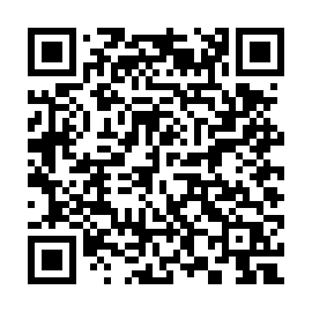 QR code for 384DVP