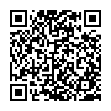 QR code for 384IMN