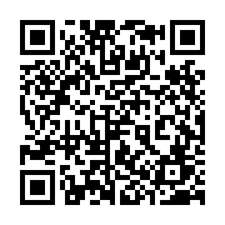 QR code for 384LGV