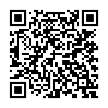 QR code for 384NCN