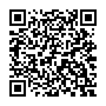 QR code for 384RCO
