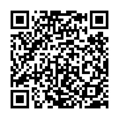 QR code for 384TEI