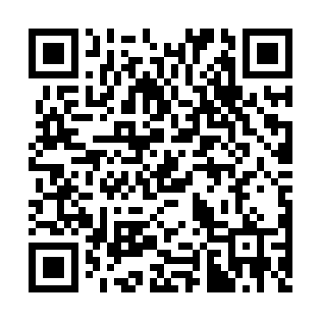QR code for 384XVP