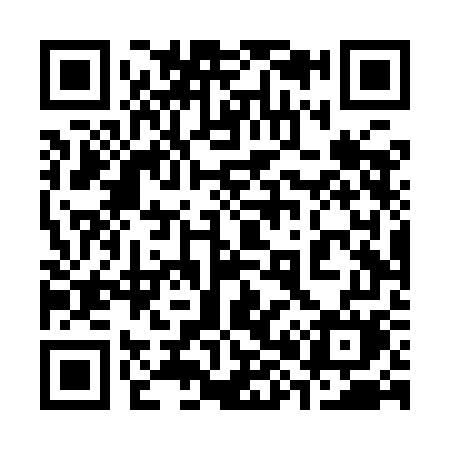 QR code for 384YGM