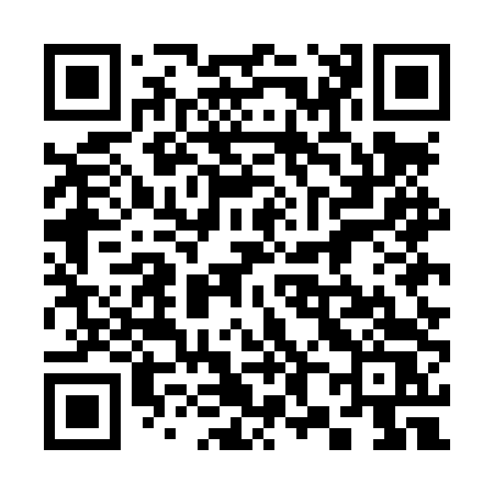 QR code for 385LTS