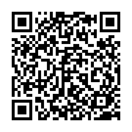 QR code for 385LUO