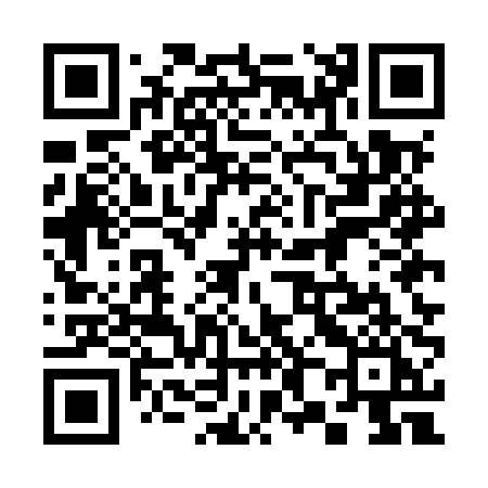 QR code for 385MPI