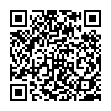 QR code for 385PAI